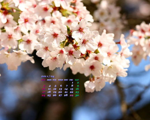 404630 (a): :1280x1024